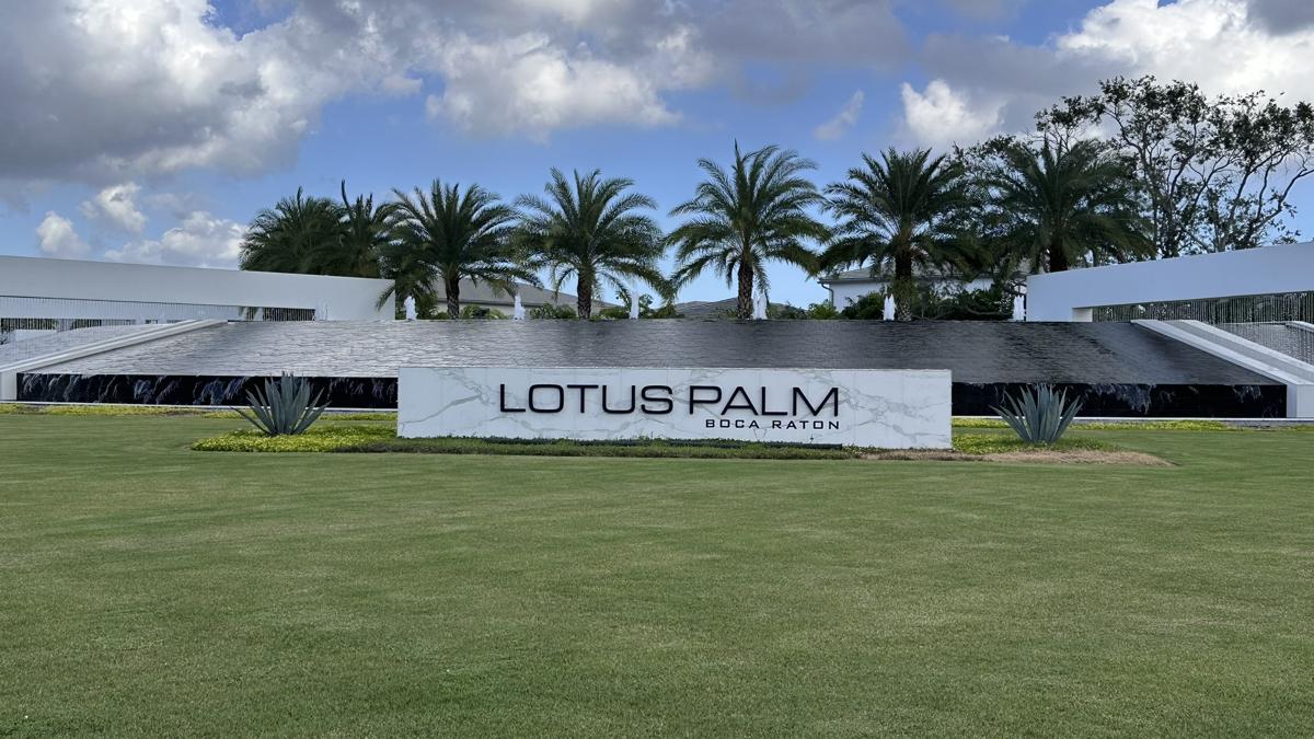 Lotus Palm